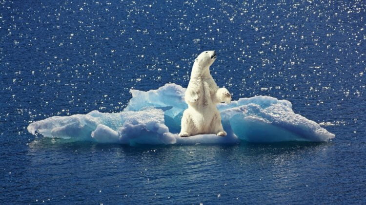 Не все потеряно — Арктику можно быстро охладить. Арктика нагревается в несколько раз быстрее, чем остальная планета. Фото.