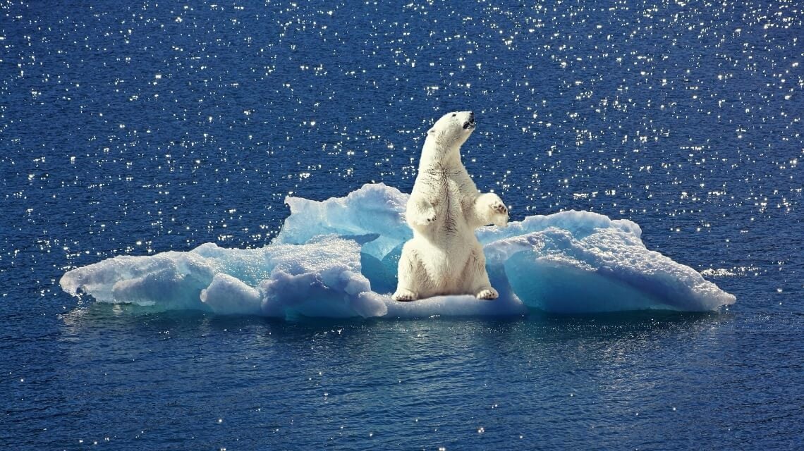 Не все потеряно — Арктику можно быстро охладить