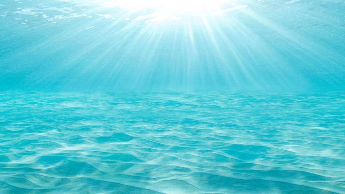 Ученые предупреждают о волнах “морской жары”, но что это такое?