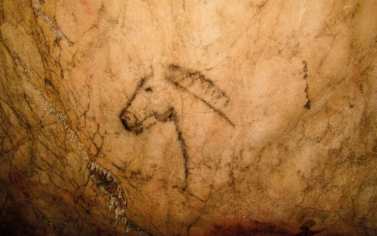 Как изменялись рисунки людей с течением времени. Голова лошади, нарисованная обугленной палочкой. Фото.