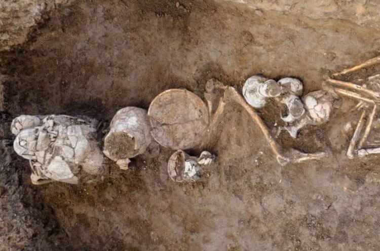 Опиум в древней гробнице в Израиле. В древнем захоронении в Израиле археологи обнаружили керамическую посуду. Фото.