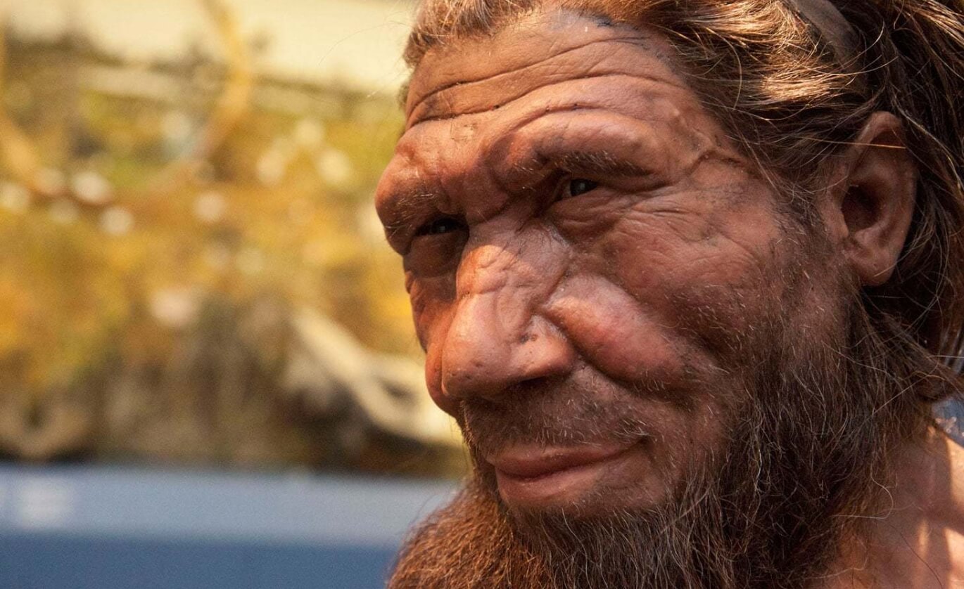 В чем неандертальцы превосходят современных людей