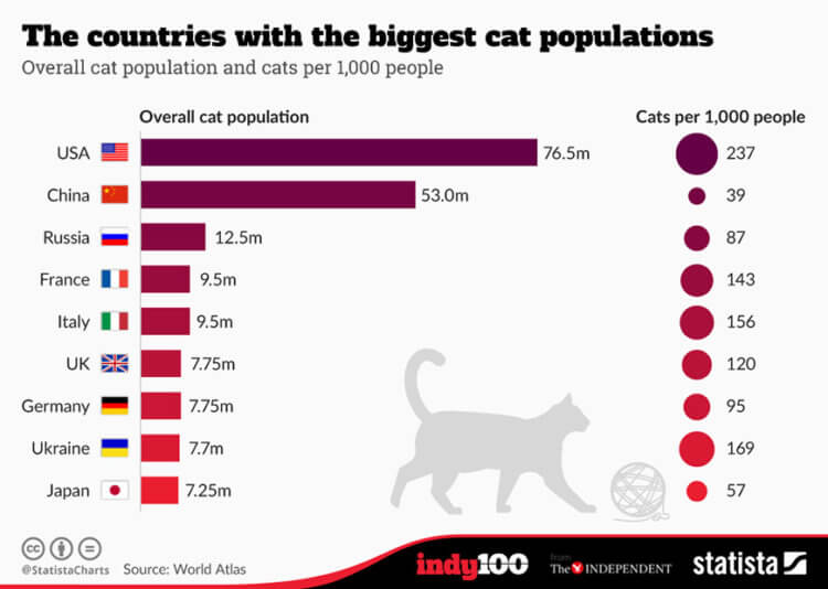 Пушистые друзья. Портал Indy100 (проект газеты The Independent) посчитал примерное количество кошек в мире. Фото.