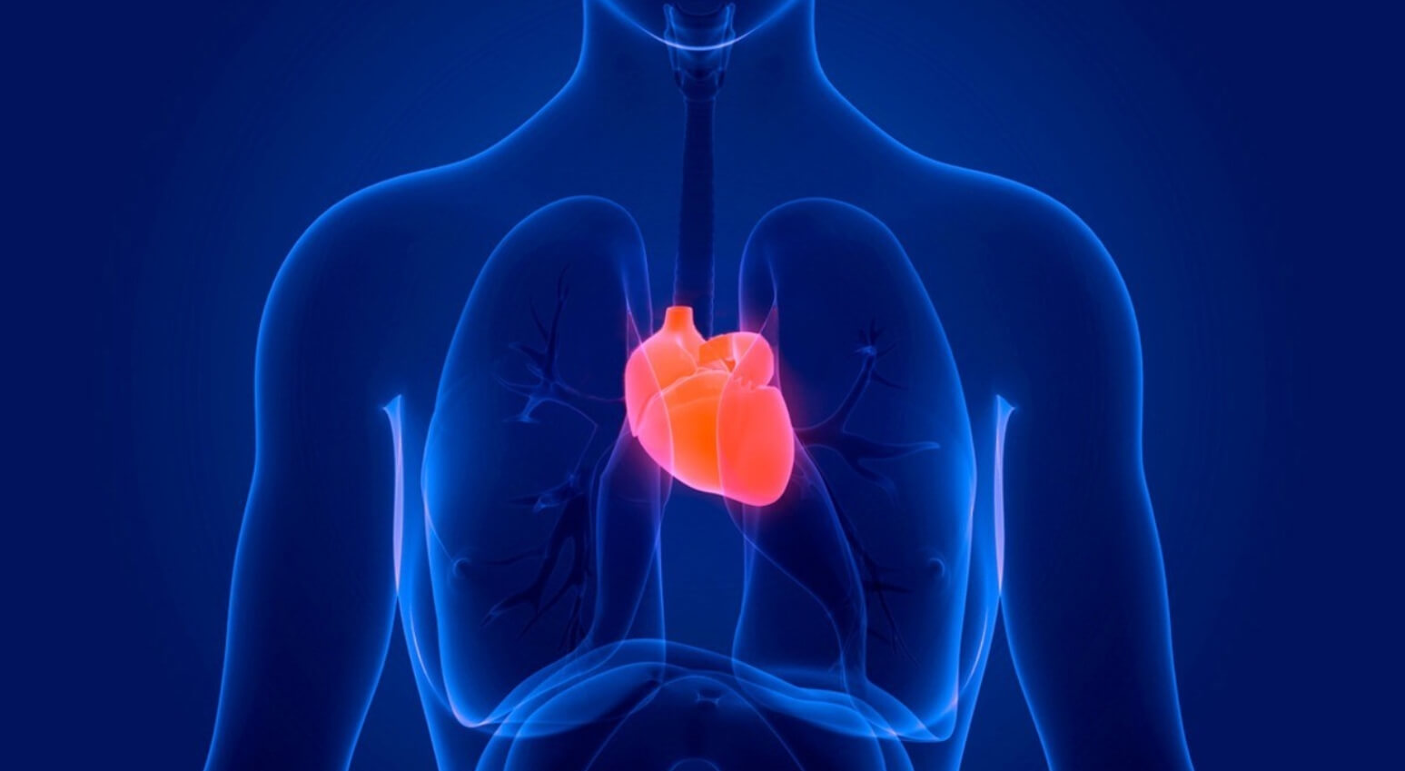 7 правил жизни, которые спасут от проблем с сердцем