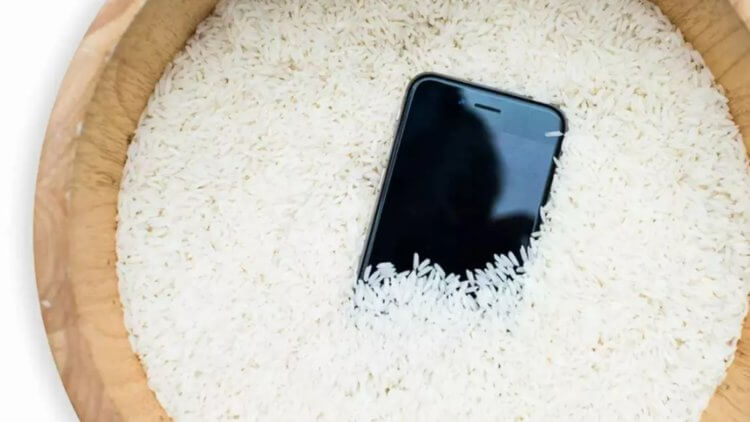 Рис не помогает высушить промокший смартфон. Топить смартфон в рисе — не самый лучший вариант. Фото.