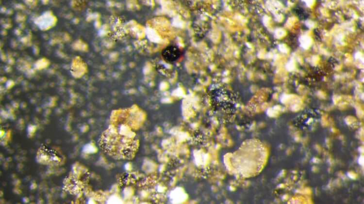 Новый минерал на Луне — камень Чанъэ. Частицы лунного грунта под микроскопом. Фото.