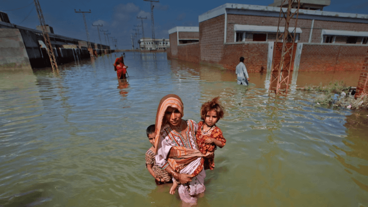 Пакистан: последствия. Для устранения первичных последствий наводнения потребуется более 160 млн долларов. Фото.