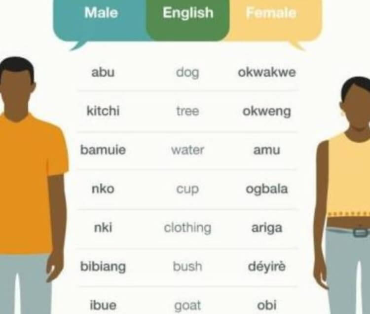Язык Убанг разный у мужчин и женщин. Небольшой словарь языка Убанг. Фото.