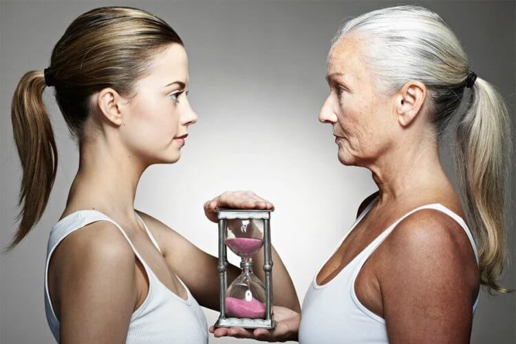 Ученые выяснили как продлить жизнь? Возможно, в будущем удастся замедлить процесс старения и у людей. Фото.