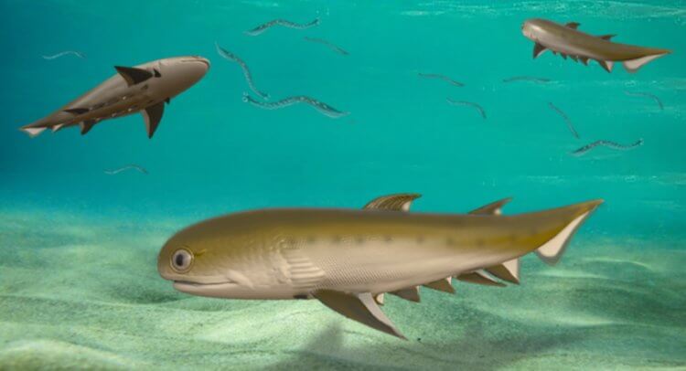 Какой была самая древняя рыба. Такие рыбы плавали в древнем океане более 400 миллионов лет назад. Фото.