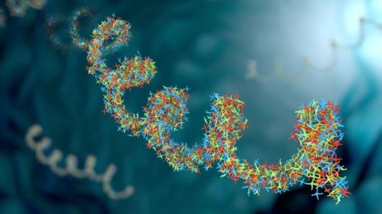 Как фрагменты древних вирусов в геноме человека влияют на организм. В ДНК человека существует геном тысяч различных древних ретровирусов. Фото.