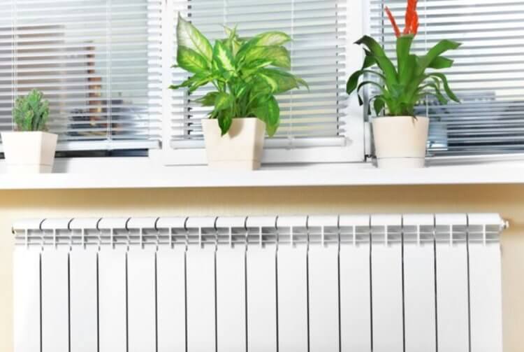 Чем опасен сухой воздух. Повысить влажность в помещении помогают комнатные растения. Фото.