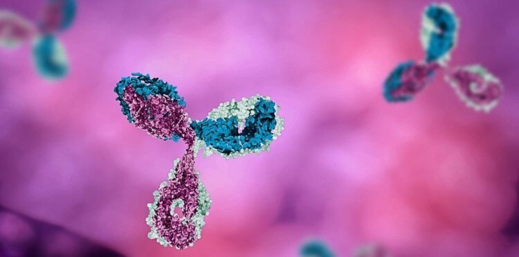 Коронавирус — последние мутации. Новые штаммы показали высокую устойчивость к моноканальным антителам. Фото.