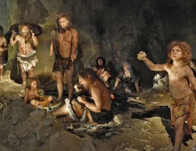 Ученые рассказали какой пищей питались неандертальцы. Фото.