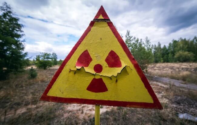 Почему лягушки в Чернобыле окрасились в черный цвет. Фото.