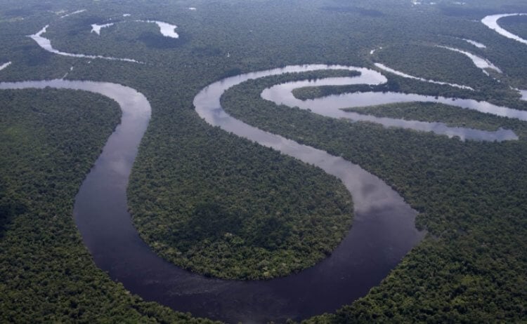 Опасность реки Амазонка в Южной Америке. Река Амазонка. Фото.