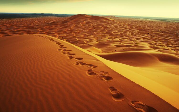 Толщина песка в пустыне Сахара. Песчаные дюны Сахары. Фото.