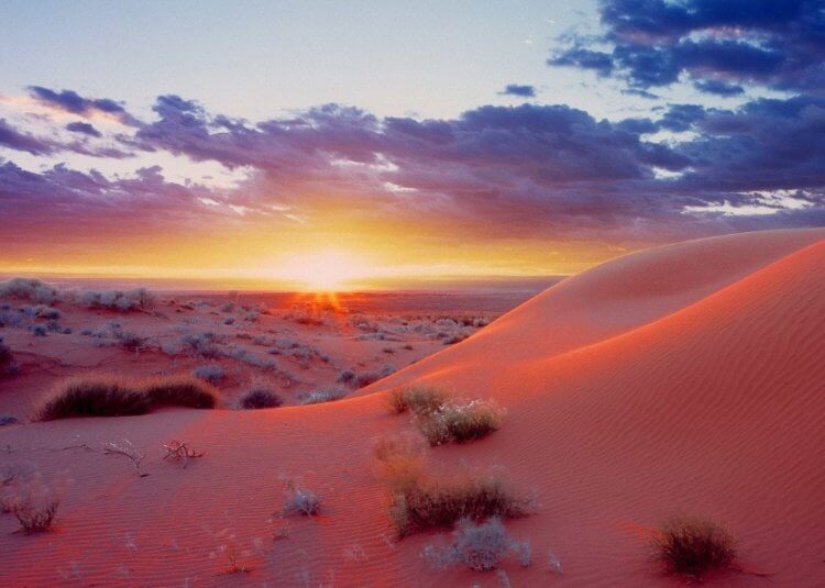 Толщина песка в пустыне Симпсон. Пустыня Симпсон. Фото.