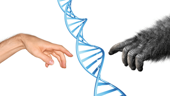Как палеогенетика помогла расшифровывать ДНК древних людей? Фото.