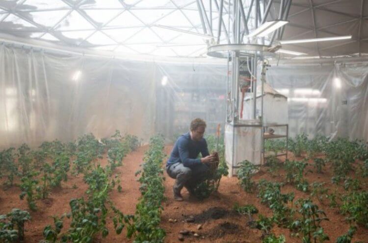 Зачем нужны растения в космосе. Кадр из фильма «Марсианин». Фото.