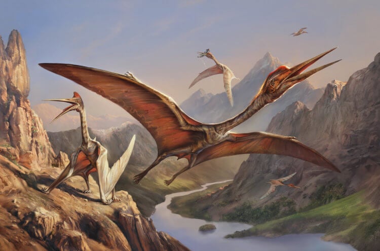 Какими были предки птерозавров. В эволюционной летописи птерозавров существует пробел размером в 30 миллионов лет. Фото.