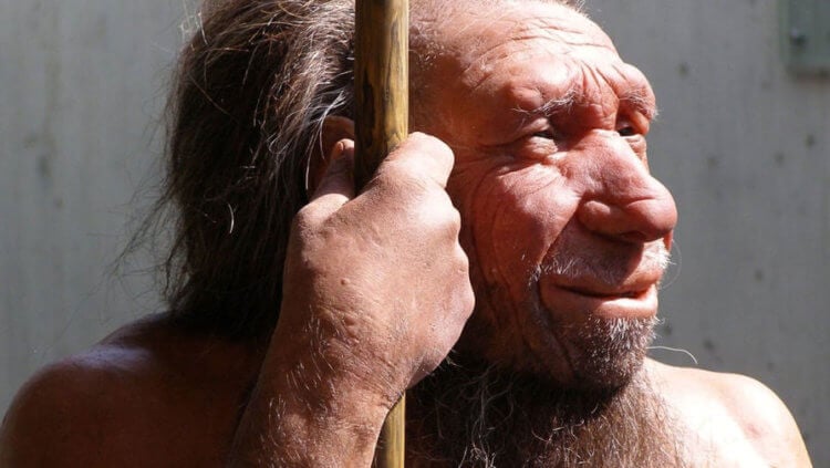 Неандертальцы селились родственными группами. Денисовцы жили в одно время и в одном месте с неандертальцами. Фото.