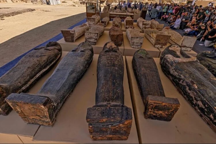 Сотни мумий и неизвестная царица: удивительная находка в египетской Саккаре. Египтологи обнаружили сотни мумий и гробницу неизвестной ранее египетской царицы. Фото.