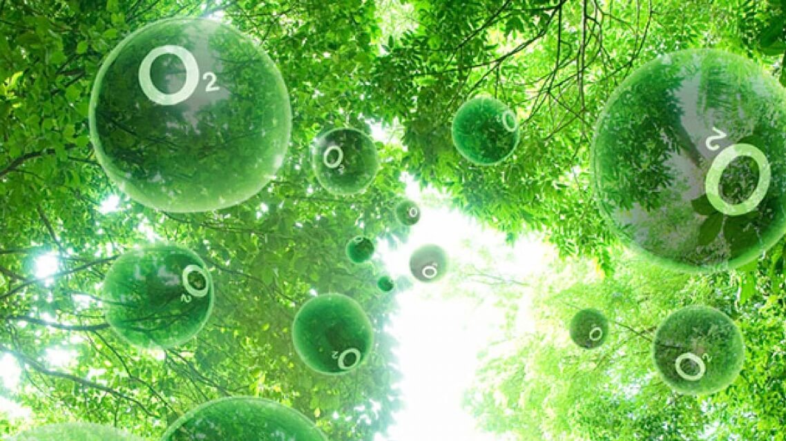 Как искусственный фотосинтез обеспечит человечество природным газом