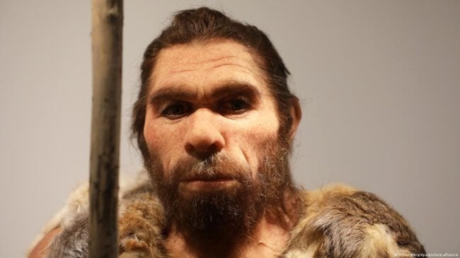 Неандертальцы вымерли из-за любви к современным женщинам? Фото.