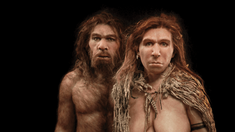 Неандертальцы селились родственными группами. Неандертальцы-женщины когда «выходили замуж», покидали свою семью. Фото.