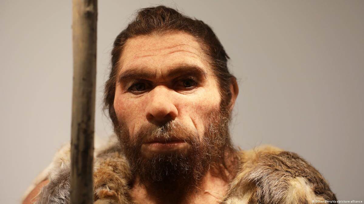 Неандертальцы вымерли из-за любви к современным женщинам