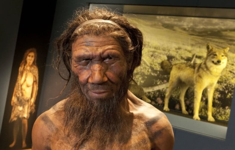 Как вымерли неандертальцы. Гибриды неандертальца и Хомо Сапиенс могли быть бесплодными. Фото.