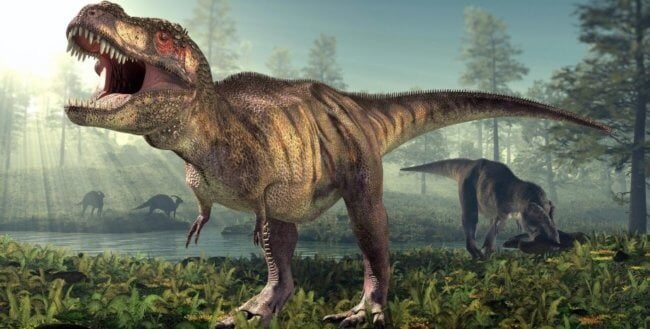 Тираннозавр Рекс был на 70% больше, чем предполагалось раньше. Фото.