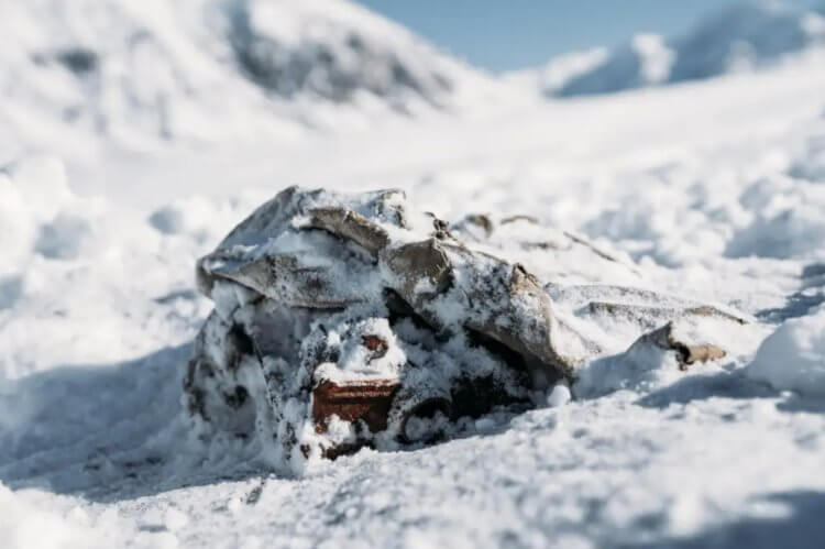 Восстановление старых фотографий. Камера Брэдфорда Уошберна в снегу. Фото.
