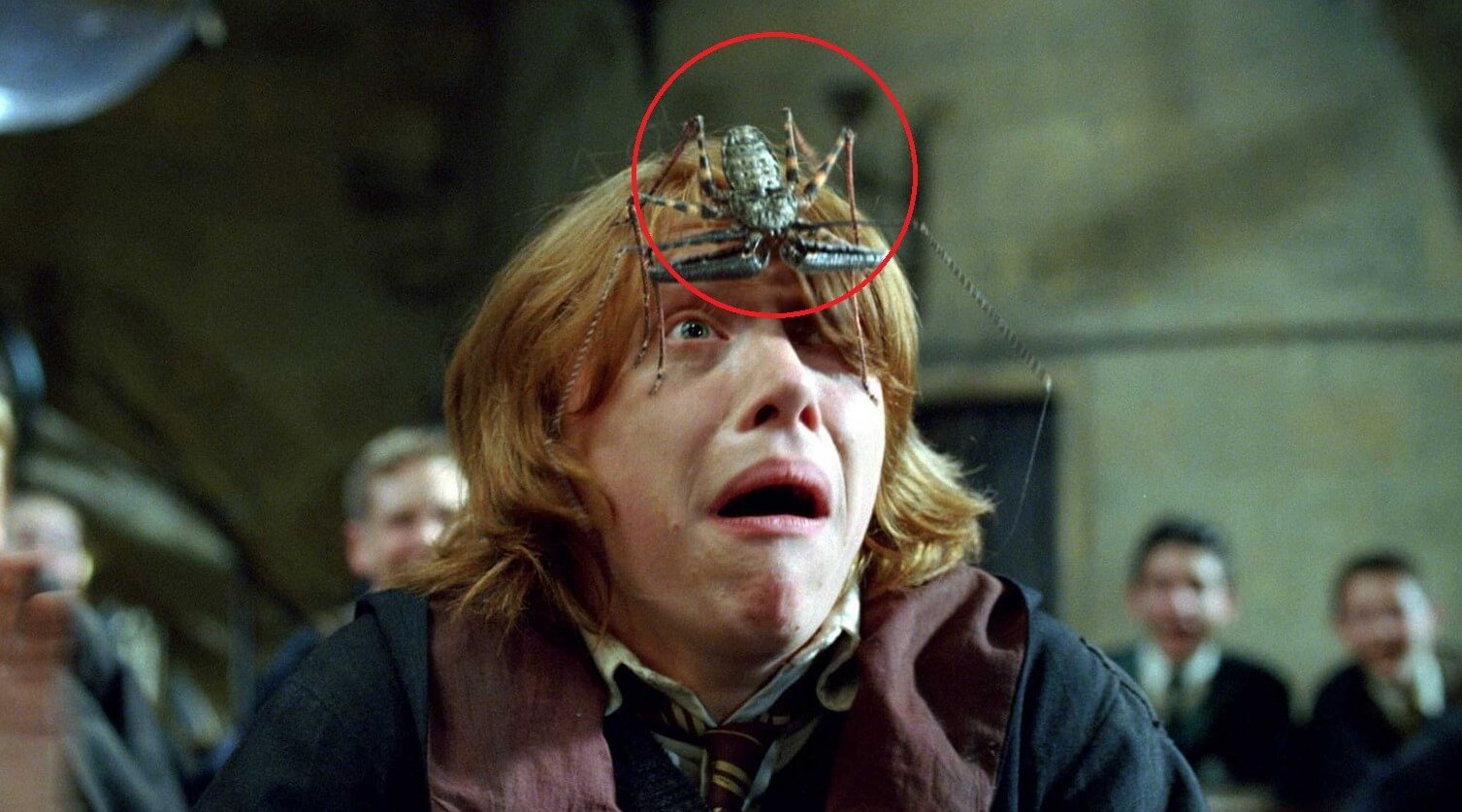 Фрины — ужасные существа из «Гарри Поттера», которые существуют в реальности