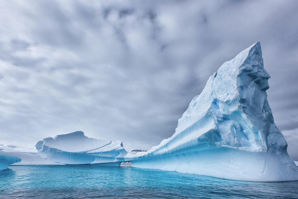 Подо льдами Антарктиды обнаружили фитопланктон — природа сама борется с потеплением климата?