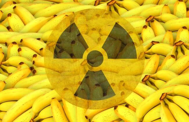 Правда ли, что бананы радиоактивны и опасны для здоровья. Фото.