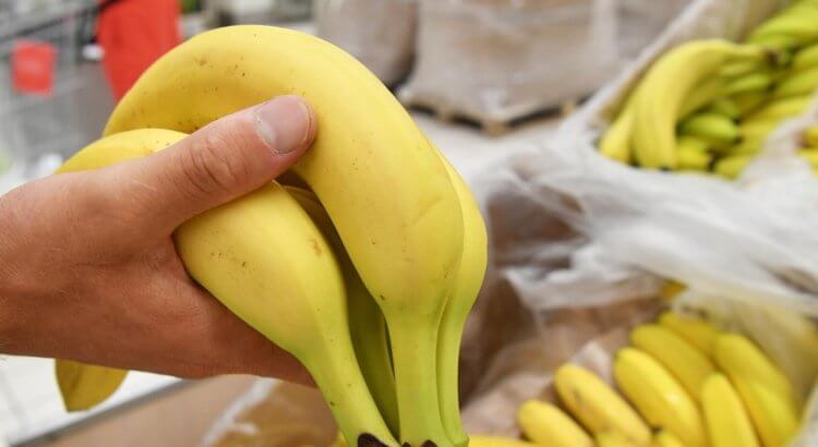Радиоактивные бананы — миф или реальность? При употреблении бананов, в организм человека проникает радиоактивный калий‑40, но он не может нанести никакого вреда. Фото.