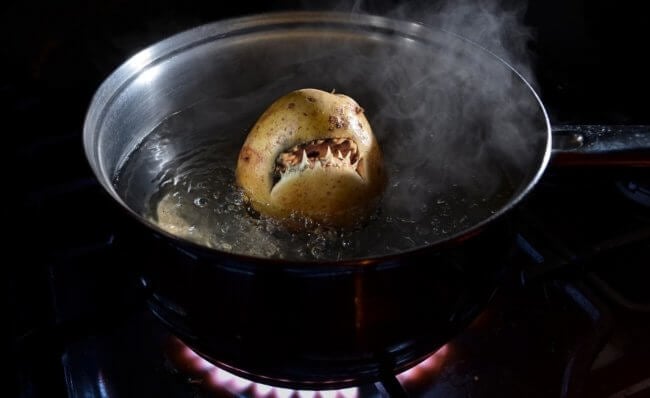 Почему русские крестьяне отказывались есть картошку и называли ее «яблоком сатаны». Фото.