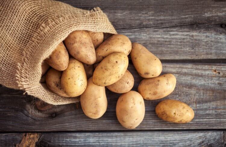 Как люди начали есть картофель. Судя по всему, люди употребляют картофель в пищу с незапамятных времен. Фото.