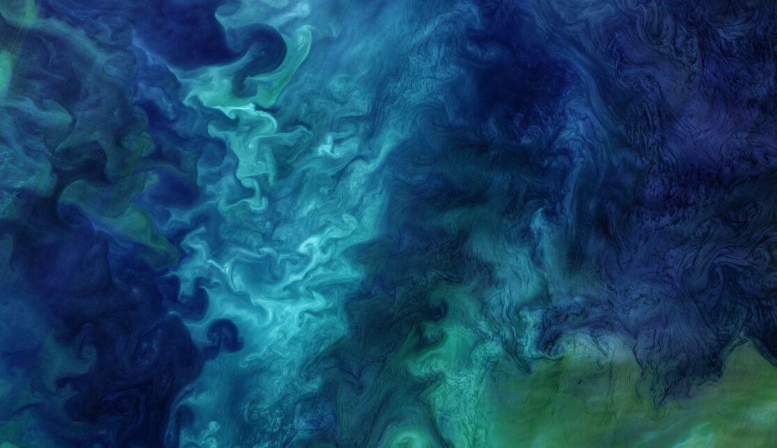 Фитопланктон в Антарктиде и Арктике — откуда он взялся. Цветение фитопланктона в Чукотском море (Арктика). Фото.