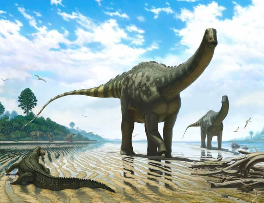 Динозавры в современном мире. Некоторые зауроподы весили более 70 кг. Фото.