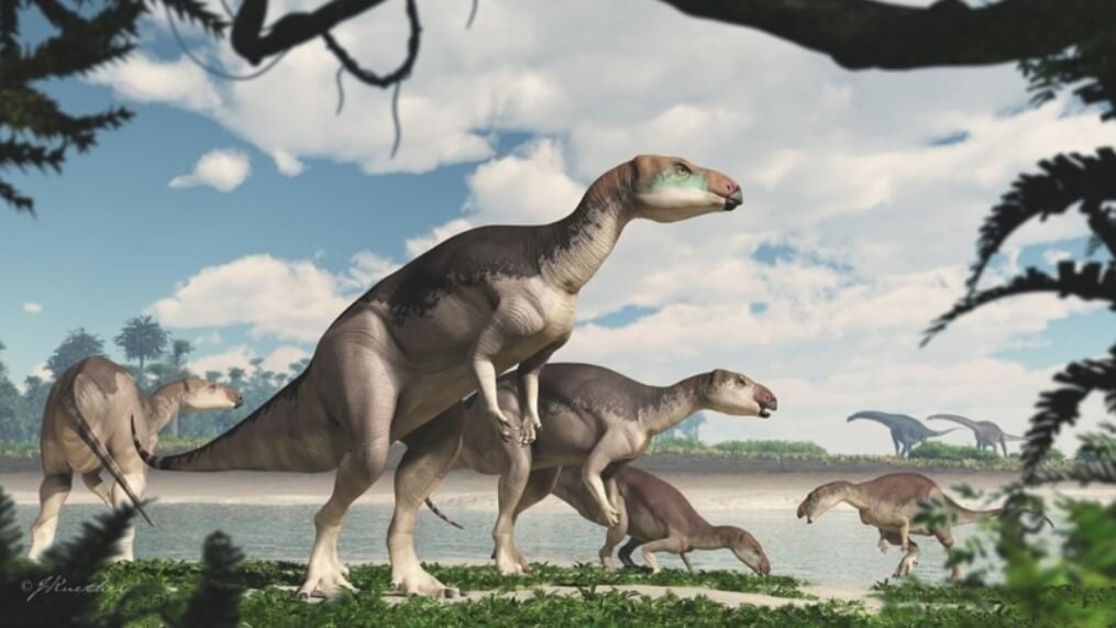 Что было бы, если динозавры не вымерли. Тяжелые времена заставляли динозавров объединяться. Фото.