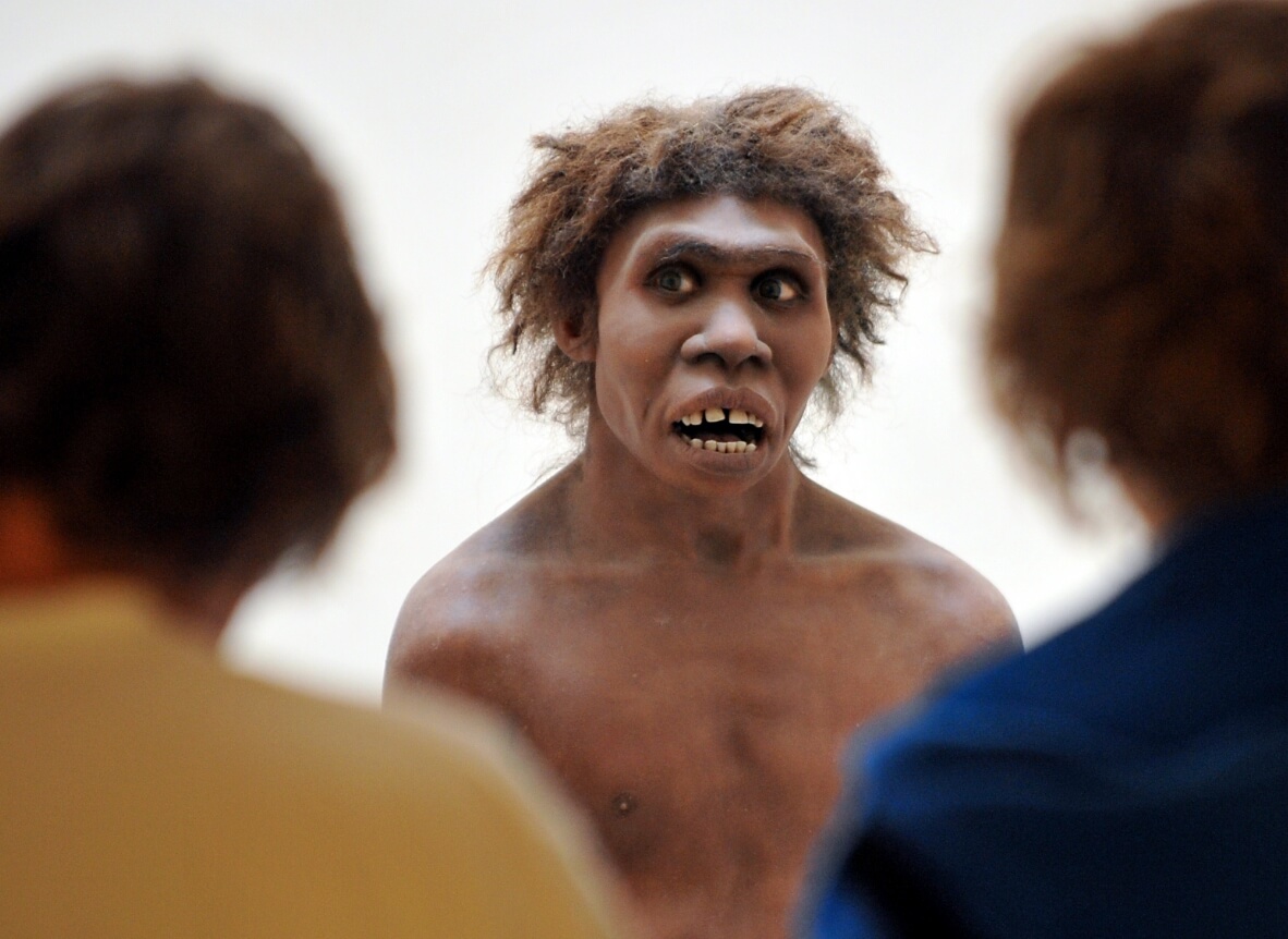 Неандертальцы были бы нездоровыми. Среди неандертальцев часто возникало кровосмешение. Фото.