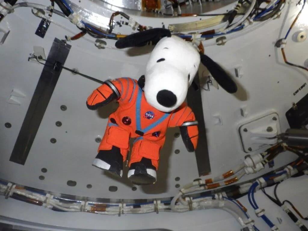 Игрушечная собака Снупи в космосе. Собака Снупи в космическом костюме OCSS. Фото.
