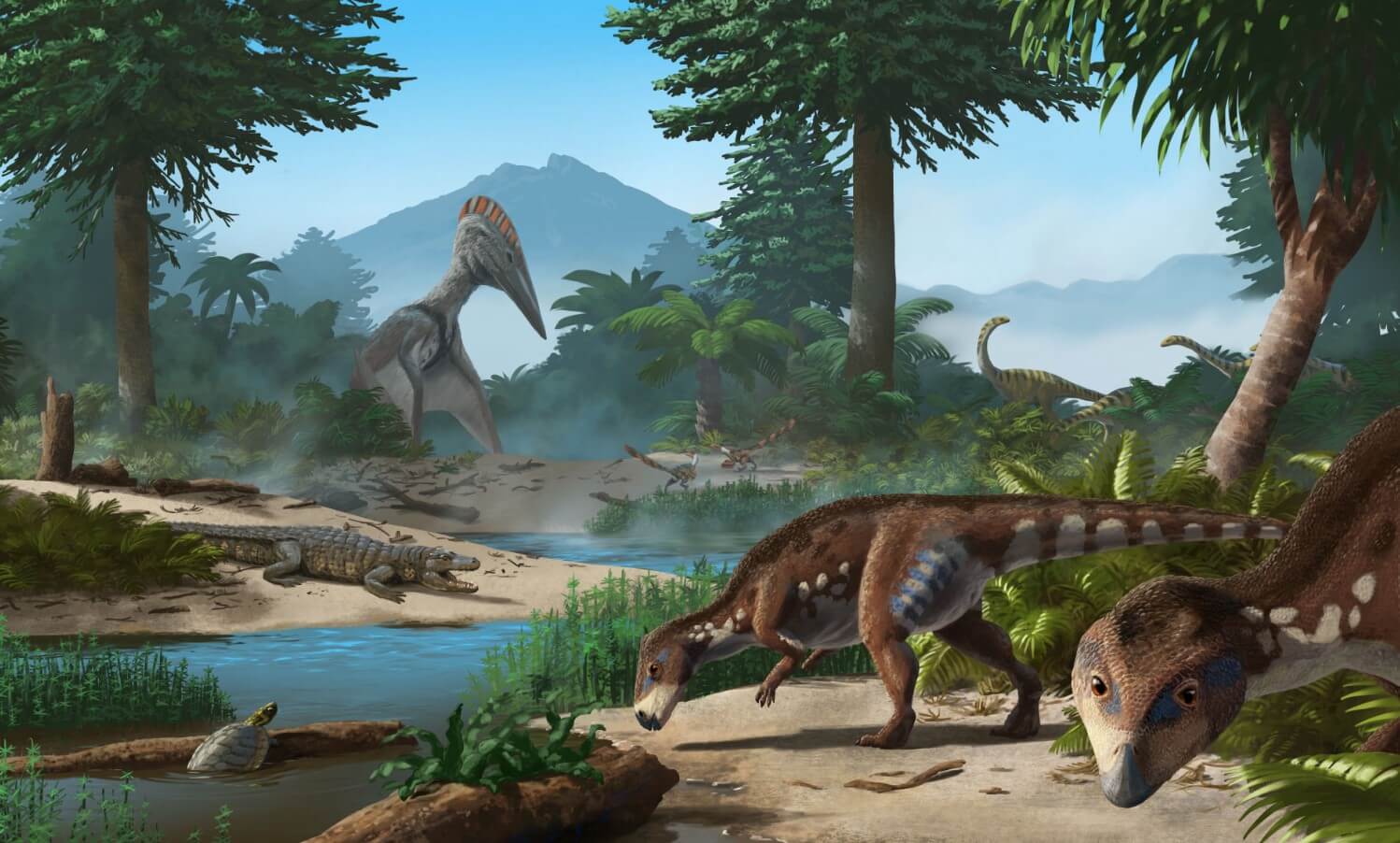 Ученые открыли новый вид динозавров в Румынии. Новый для науки динозавр был намного меньше остальных. Фото.