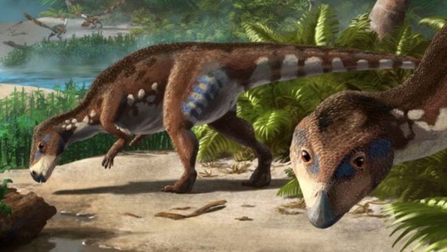 Ученые открыли новый вид динозавра-карлика размером с собаку. Фото.