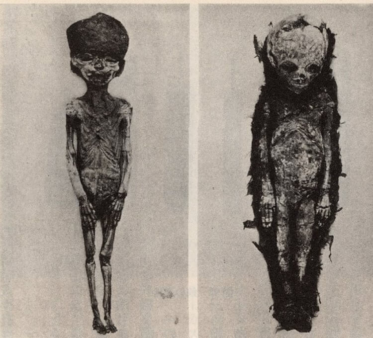 5 фактов о мумии Тутанхамона, которые известны не всем