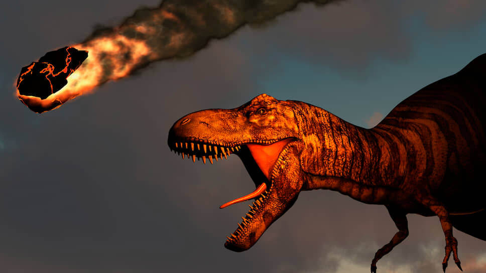 Эволюция млекопитающих: астероид здесь ни при чем. Динозавры начали вымирать еще до падения астероида Чиксулуб. Фото.