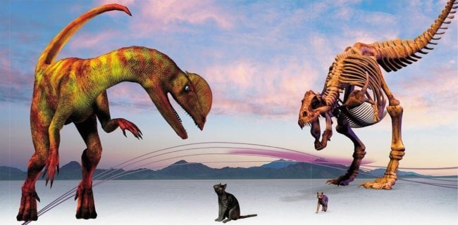 Почему млекопитающие пережили падение астероида, а динозавры вымерли. Фото.